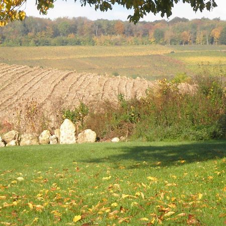 Domaine Du Moulin De L'Etang Bed & Breakfast Chatillon-sur-Marne Luaran gambar