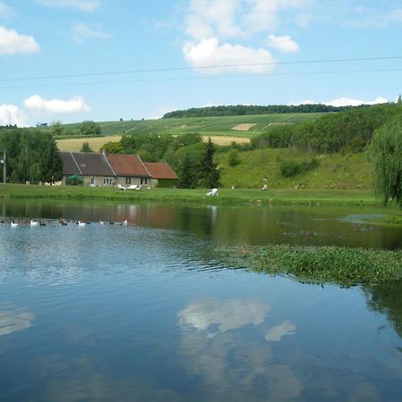 Domaine Du Moulin De L'Etang Bed & Breakfast Chatillon-sur-Marne Luaran gambar
