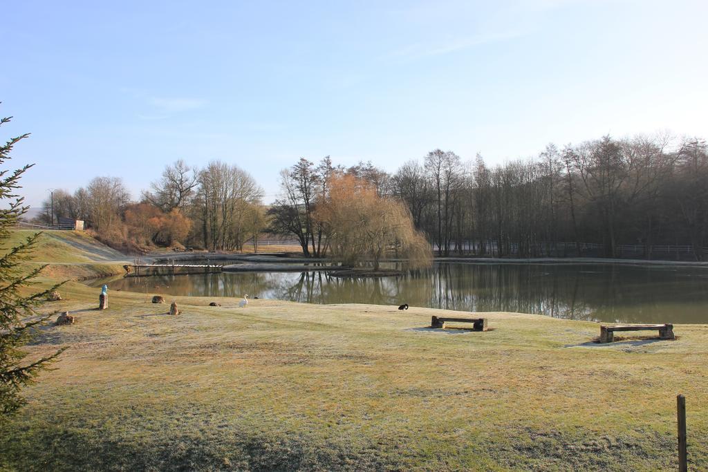 Domaine Du Moulin De L'Etang Bed & Breakfast Chatillon-sur-Marne Luaran gambar