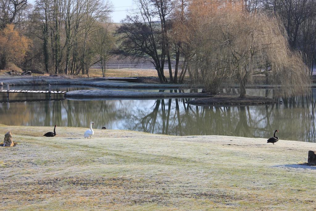 Domaine Du Moulin De L'Etang Bed & Breakfast Chatillon-sur-Marne Luaran gambar