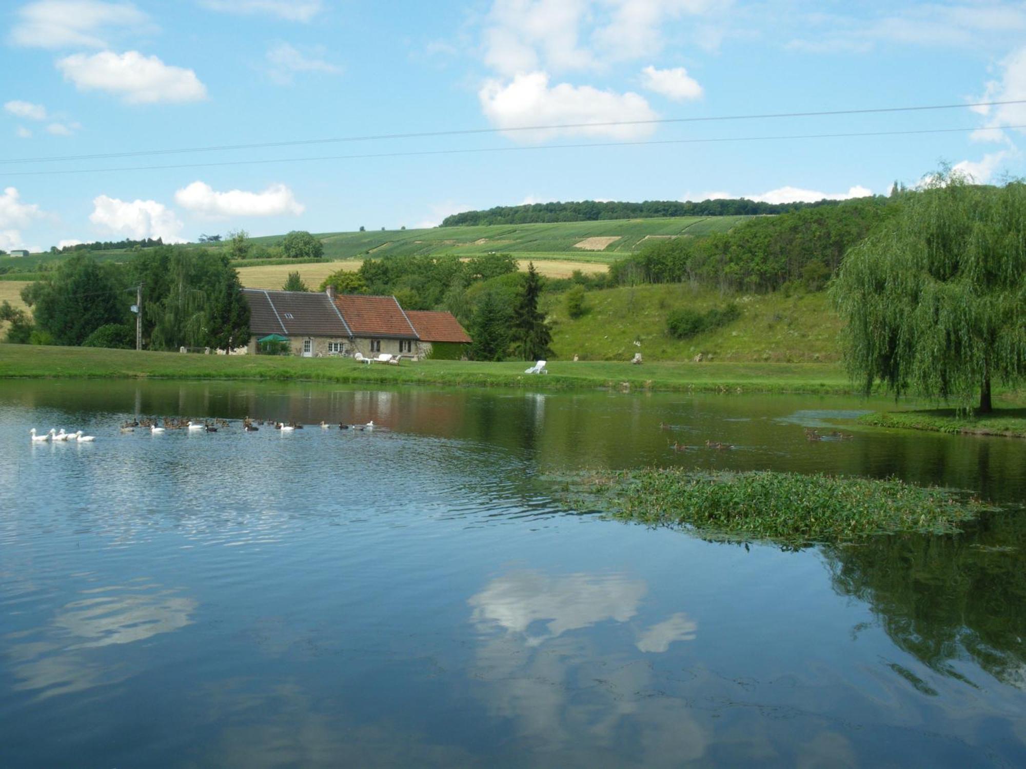 Domaine Du Moulin De L'Etang Bed & Breakfast Chatillon-sur-Marne Luaran gambar