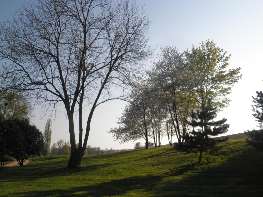 Domaine Du Moulin De L'Etang Bed & Breakfast Chatillon-sur-Marne Bilik gambar