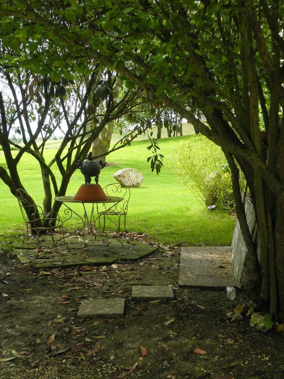 Domaine Du Moulin De L'Etang Bed & Breakfast Chatillon-sur-Marne Luaran gambar