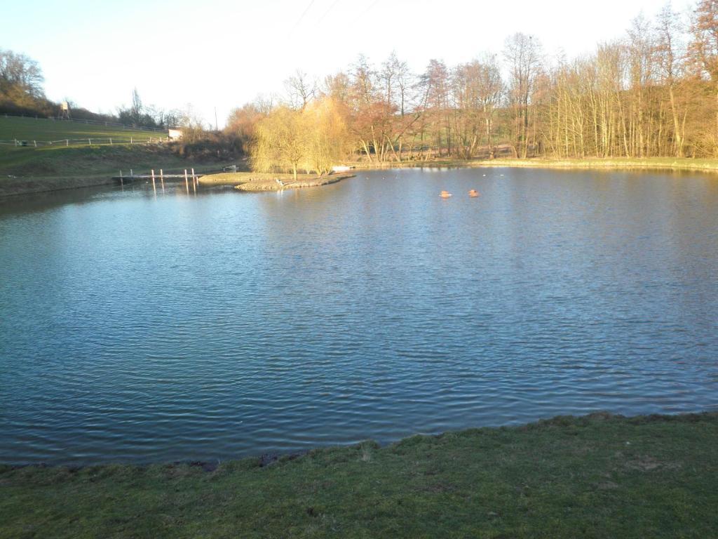 Domaine Du Moulin De L'Etang Bed & Breakfast Chatillon-sur-Marne Luaran gambar