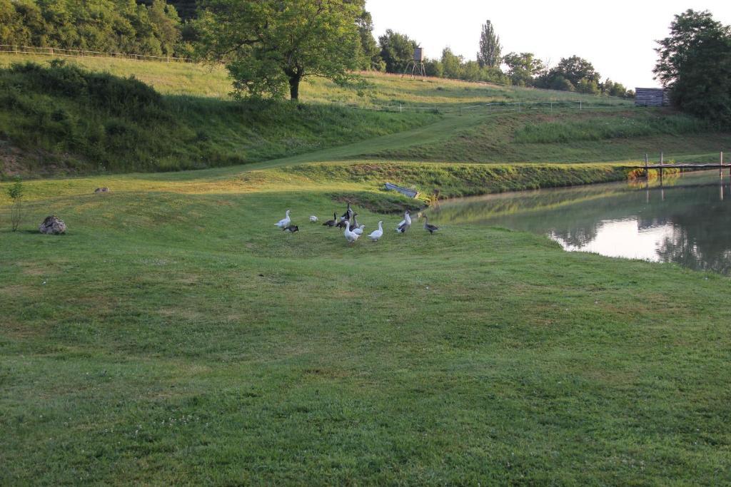 Domaine Du Moulin De L'Etang Bed & Breakfast Chatillon-sur-Marne Luaran gambar