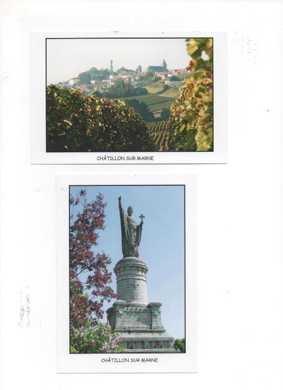 Domaine Du Moulin De L'Etang Bed & Breakfast Chatillon-sur-Marne Luaran gambar